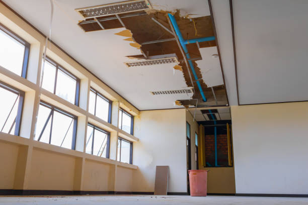Best Water damage restoration specialists  in Saugerties South, NY