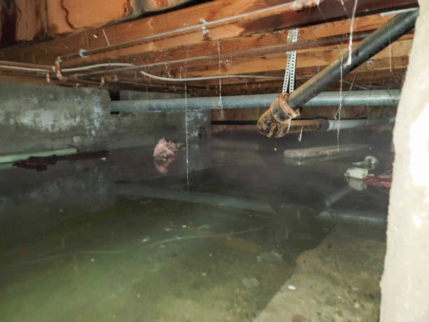 Professional Water damage restoration in NY