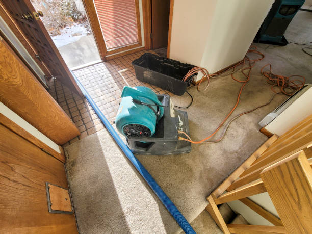 Best Professional water damage repair  in Saugerties South, NY