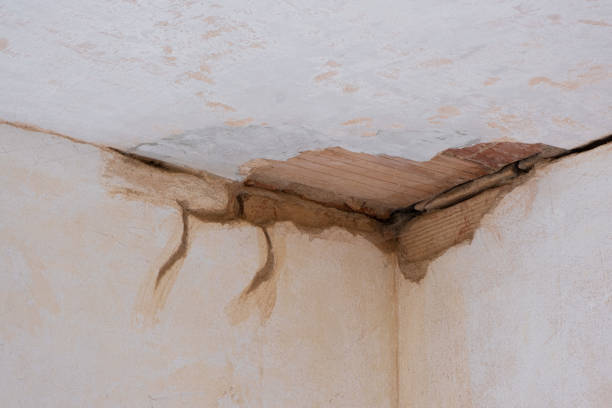 Best Water damage restoration near me  in Saugerties South, NY