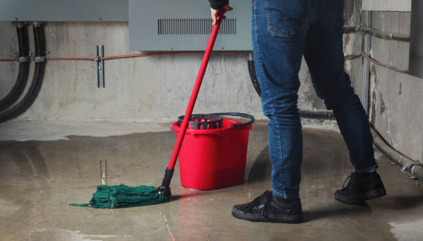 Best Local water damage restoration  in Saugerties South, NY