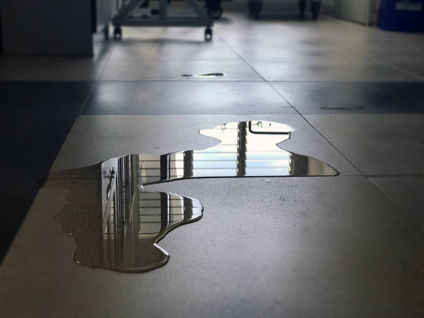 Best Water damage restoration near me  in Saugerties South, NY